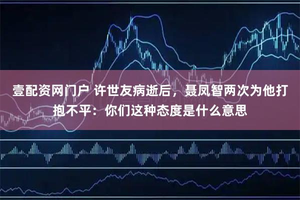 壹配资网门户 许世友病逝后，聂凤智两次为他打抱不平：你们这种态度是什么意思